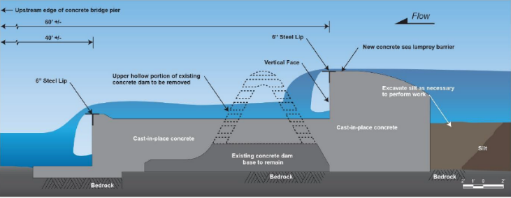 Cross section view of the Harpersfield Dam upgrades. 